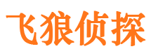 潘集外遇调查取证